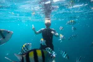 Gili Nanggu Snorkeling